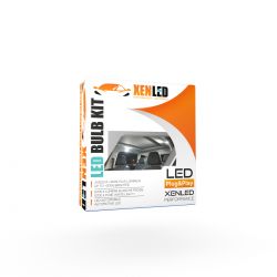 Pack 2 modules LED ceiling vag yeti / fabia / famous / beetle / ca
