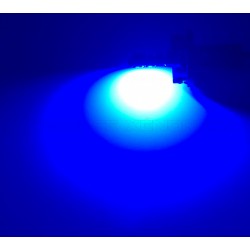 1 x bulb W5W 4-Blue LED super canbus 53lms xenled